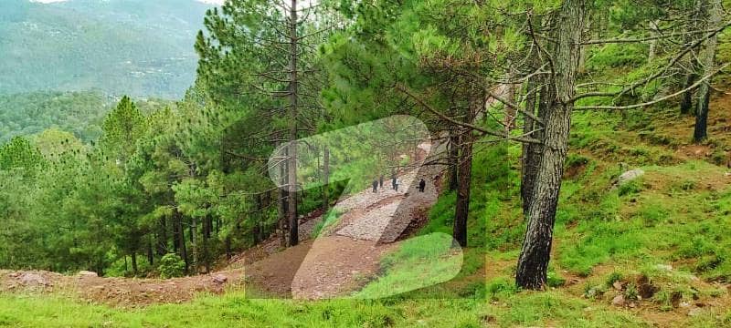 Ideally Priced Residential Plot For Sale On Murree Expressway