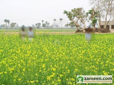 34 Kanal Best Agricultural Land For Sale