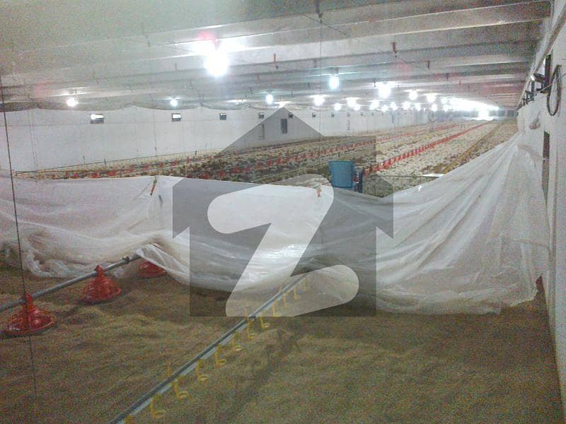 Running Broiler Controlled Shed Poultry Farm For Sale. Running Broiler Controlled Shed Poultry Farm For Sale.