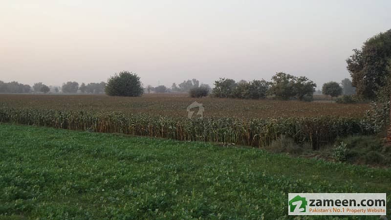 Agricultural Land Is Available For Sale In Chak Nadar Shah