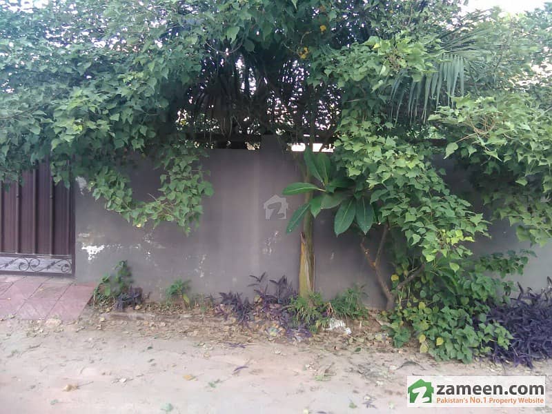 Bani Gala Plot For Sale In Maple Home Bani Gala Plot For Sale In Maple Home