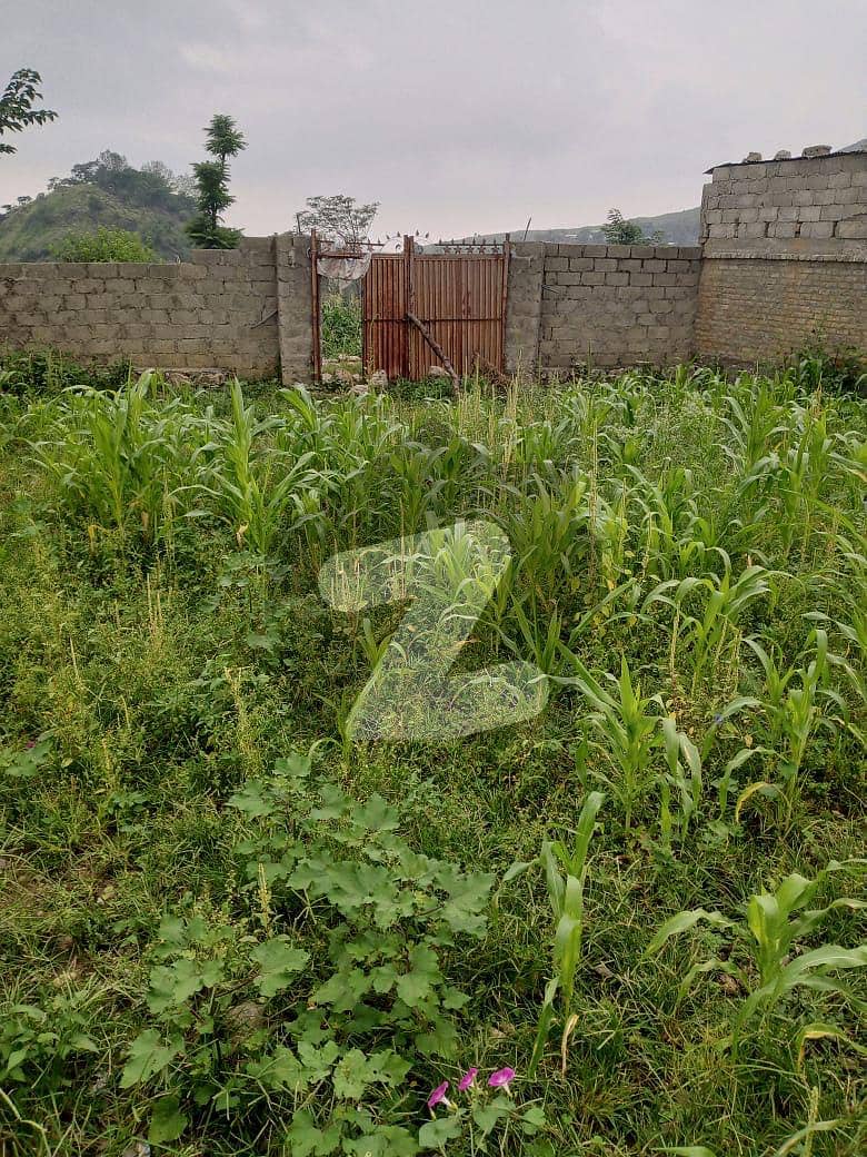 Ideal Residential Plot For Sale In Kakul