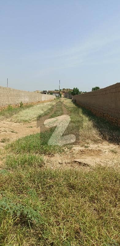2583 Square Feet Residential Plot In Ittehad Town Best Option