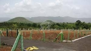 Ideal Plot For Sale In Dha Phase 8 Ex Park View Block D