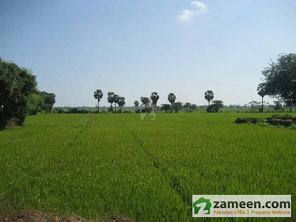 52 Acre Agriculture Land For Sale