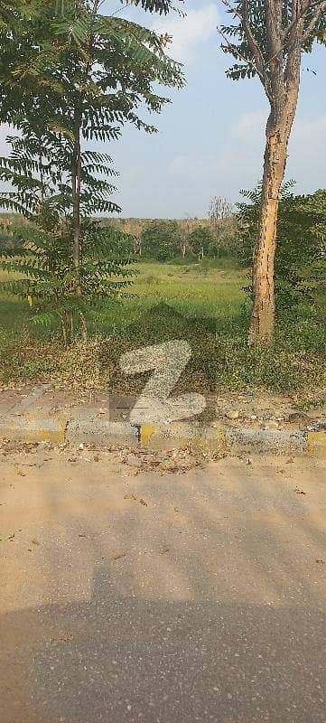 1 Kanal Corner Plot For Sale In Sector A Dha Phase 3