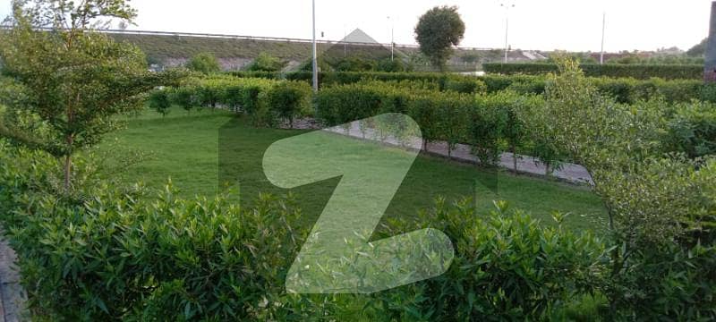 Plot Available For 1 Kanal Sale In Ahad City Lahore