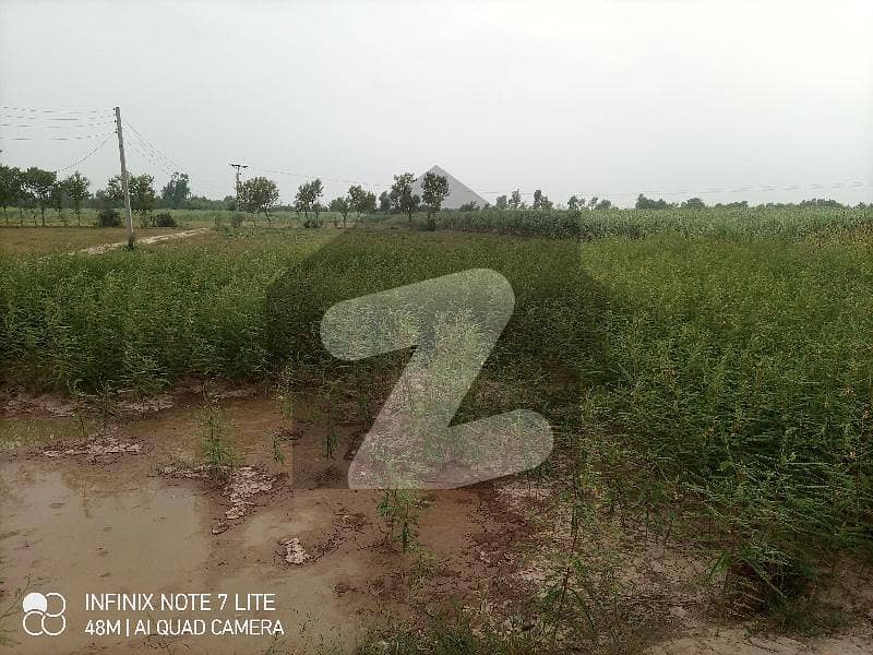 16 Kanal Agriculture Land For Sale Lahore Road, Sargodha ID41003410