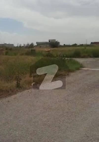 10 Marla Hot Location Level Plot Residential Ideal Location For Sale.