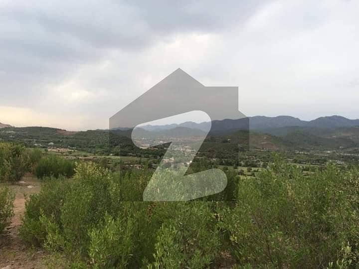 Prime Location 5 Marla Residencial Plot Is Available For Sale