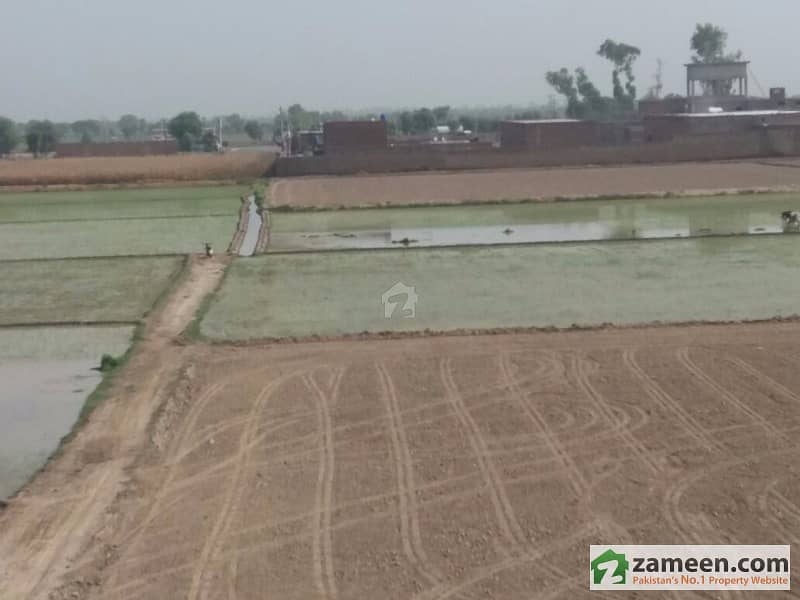 100 Kanal Land Near Harrapa Bypass