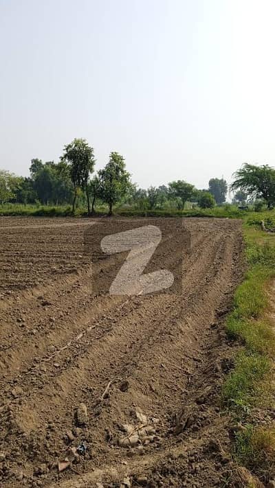 28 Kanal Land Best For Farm House For Sale On Raiwind Road Near Prem Nagar Dry Port