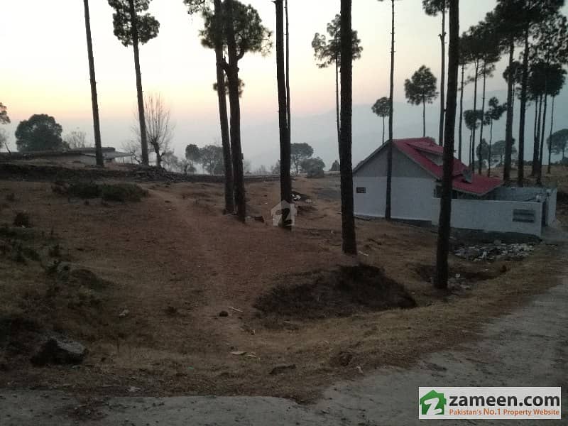 Ideal Location Plots Available On Installments And Cash New Murree Hill Top Lodges