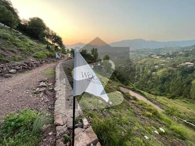 5 Marla Plot For Sale In Murree