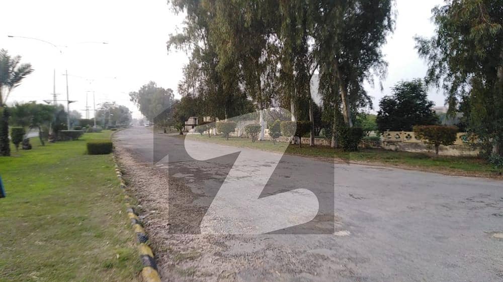 Get In Touch Now To Buy A 900 Square Feet Commercial Plot In Chinar Bagh Chinar Bagh