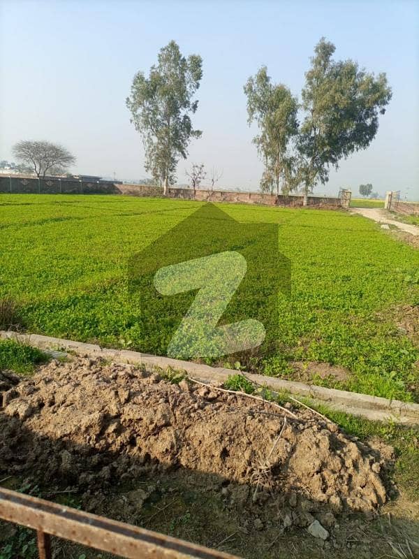 جی ٹی روڈ لاہور میں 15.14 کنال زرعی زمین 2.7 کروڑ میں برائے فروخت۔