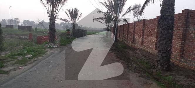 صوفیہ فارم ہاؤسز بیدیاں روڈ لاہور میں 4 کنال زرعی زمین 3.8 کروڑ میں برائے فروخت۔