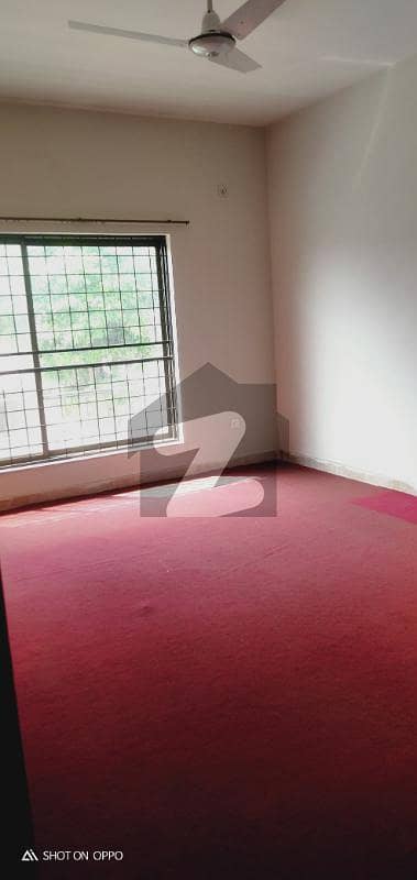 10 Marla Double Kitchen Well Maintained House Near To Park On Prime Location For Rent
