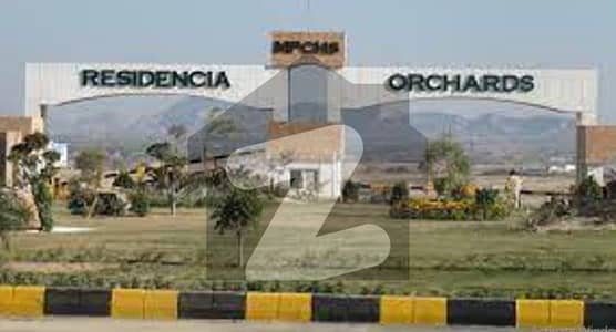 Orchard Scheme Murree Road Islamabad 20 Kanal Level Beautiful Plot For Sale In Murree Road Scheme Orchard Road