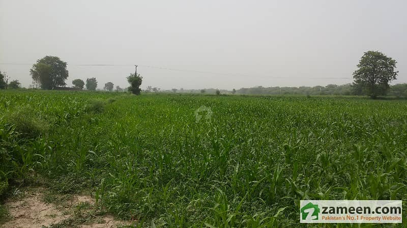 Awesome And Profitable Land Exclusive For Farm Houses And For Plotting