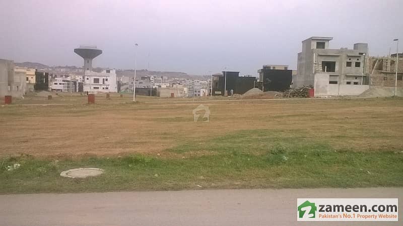 Level and Solid Land Residential Plot for Sale in Ali block