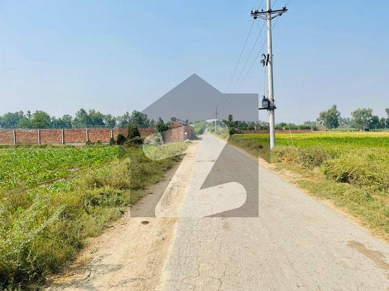 1 Acre Farm House Land For Sale In Jahman Village Carpet Road Idea