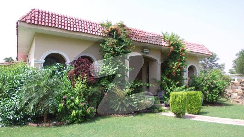 20 Kanal Beautiful Farmhouse Available For Sale At Prime Location Of Sihala