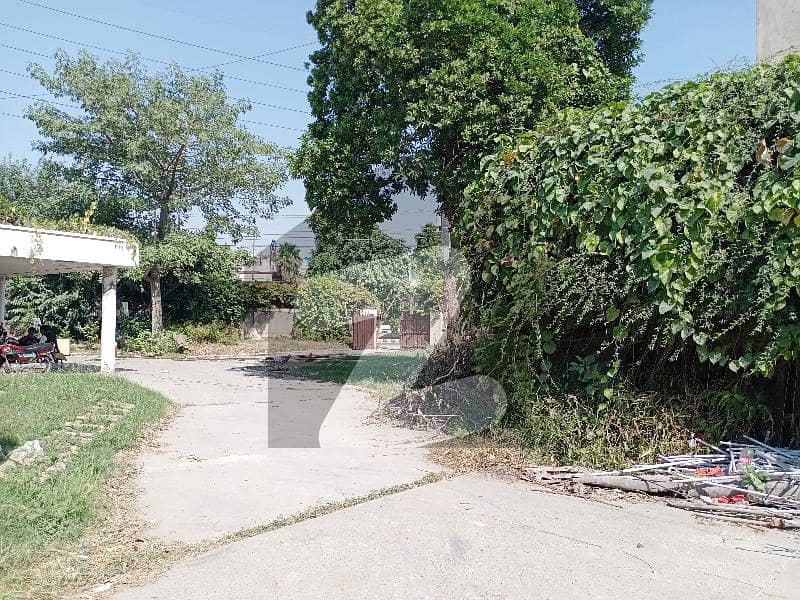 33075 Square Feet Commercial Plot For Sale In Beautiful Maulana Shaukat Ali Road