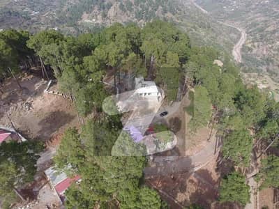 Buy Plot With Beautiful Views Of The Lush Green Murree Mountains