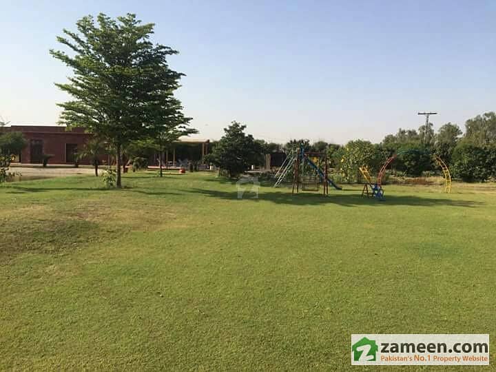 lahore visit  with family at farm house with pool ground enjoy daily rent
