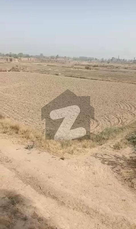 نتھو کے منہالاروڈ لاہور میں 248 کنال زرعی زمین 4 کروڑ میں برائے فروخت۔