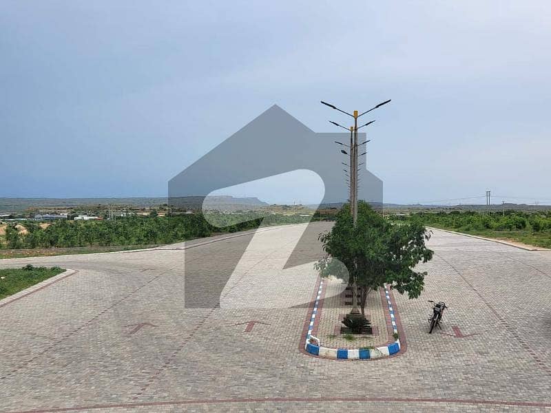 Reasonable Plots In Al-qaim Housing Society Reasonable Plots In Al-qaim Housing Society