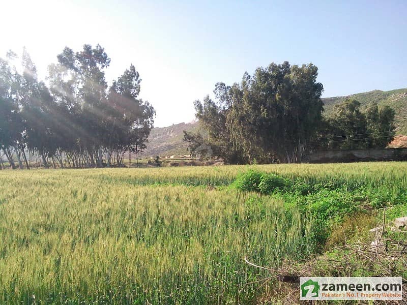 Agricultural Land For Sale Adiala Road, Rawalpindi ID7533019
