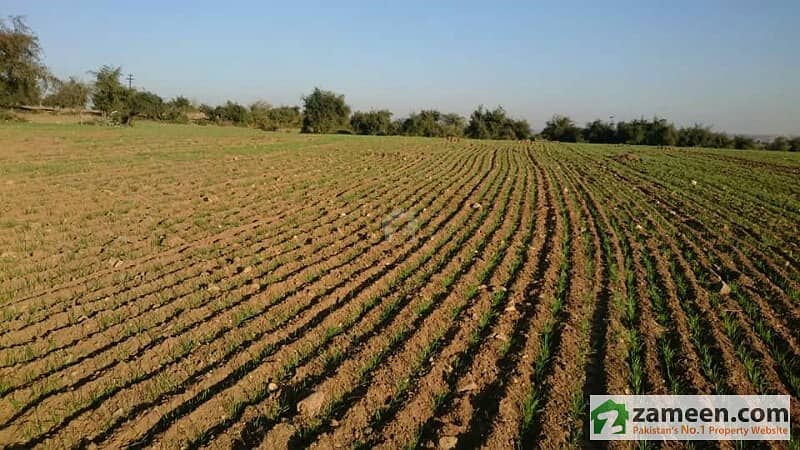 Agricultural Land For Sale In Jehangira
