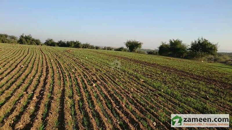 Agricultural Land For Sale In Jehangira