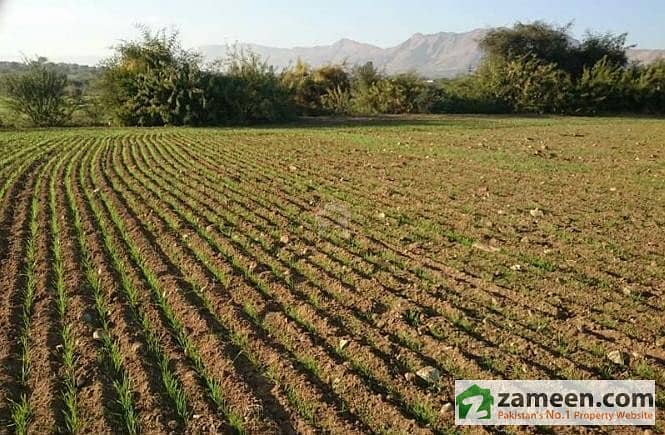 Agricultural Land For Sale