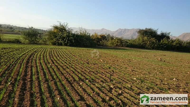 Agricultural Land For Sale