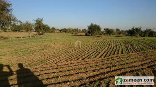 Agricultural