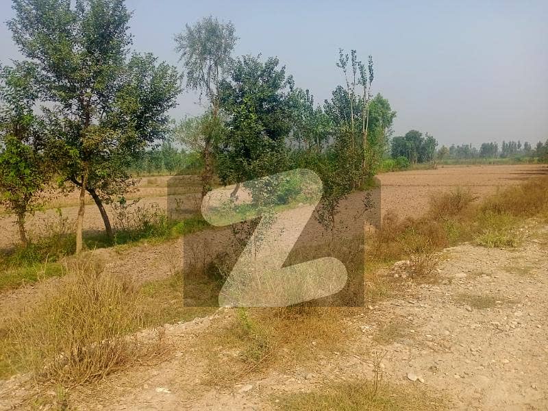 ناردرن بائی پاس پشاور میں 16 کنال کمرشل پلاٹ 16 کروڑ میں برائے فروخت۔