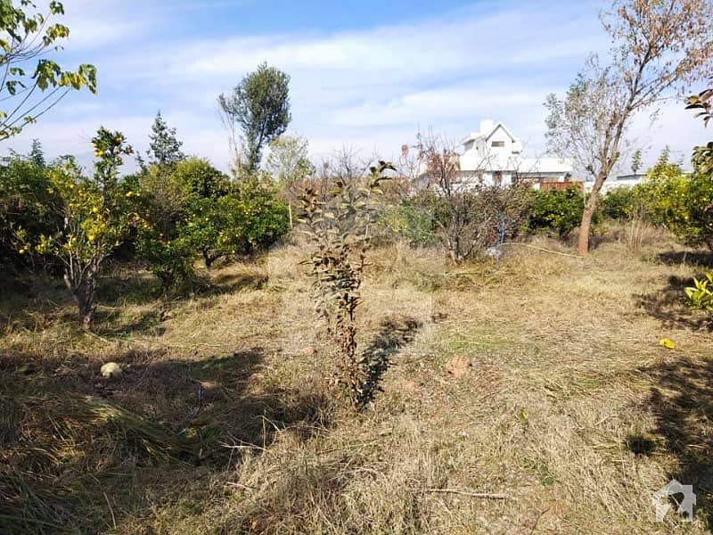 In Bani Gala A Fully Developed 8 Kanal Farm House Bani Gala, Islamabad