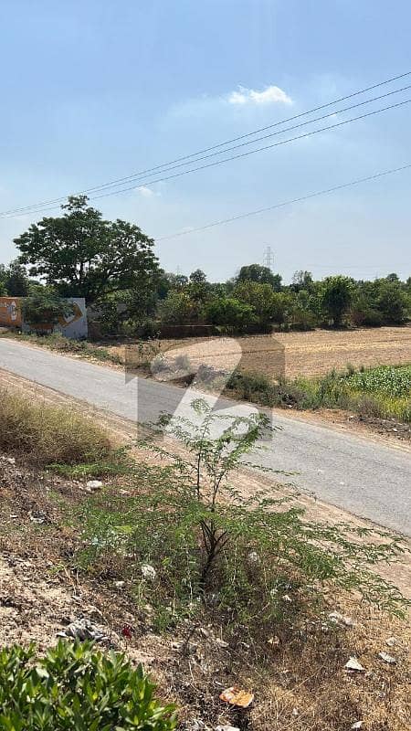 12 Kanal Land For Sale Near To Wapda City, Canal Expressway Faisalabad