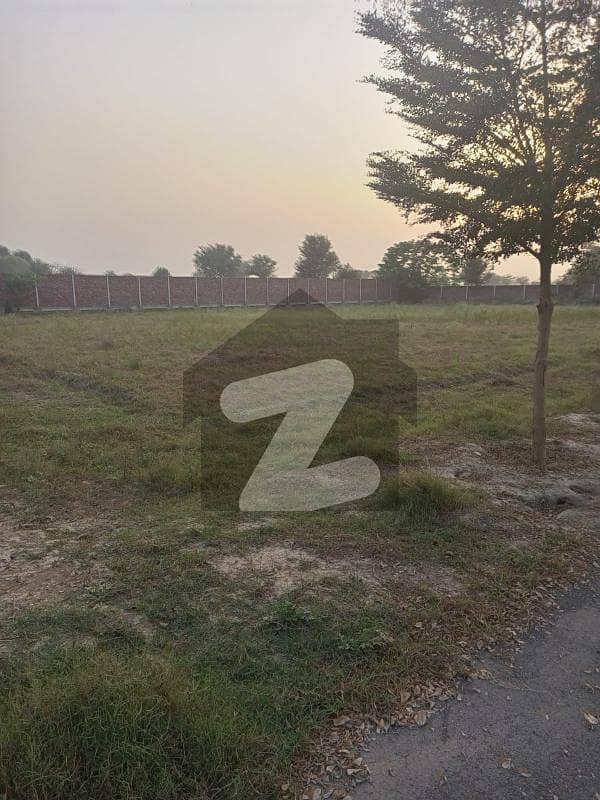 ہڈیارا لاہور میں 5 کنال زرعی زمین 2.25 کروڑ میں برائے فروخت۔
