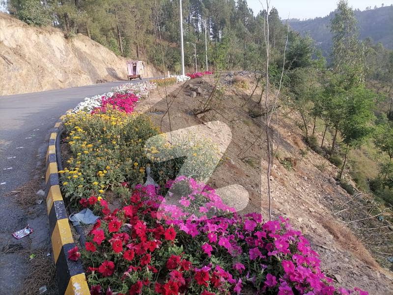 Silk Valley Housing Society Shimla Hill Road Abbottabad