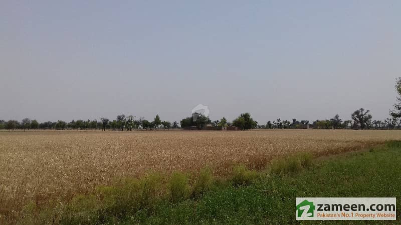 325 Acre 13 Murabba Land At Muzaffar Garh Big Facalities 325 Acre 13 Murabba Land At Muzaffar Garh Big Facalities