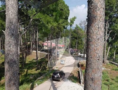 Ideal Residential Plot Available In Angoori Road, Murree