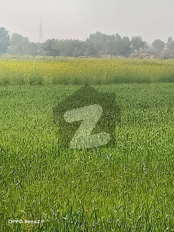 Agricultural Land Of 16 Kanal Available In Muzaffargarh Road