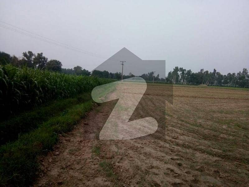 حربور لاہور میں 4 کنال زرعی زمین 1.2 کروڑ میں برائے فروخت۔