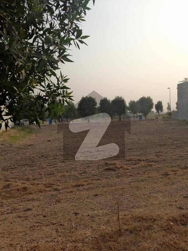 مُصطفی آباد للیانی لاہور میں 240 کنال زرعی زمین 35 کروڑ میں برائے فروخت۔