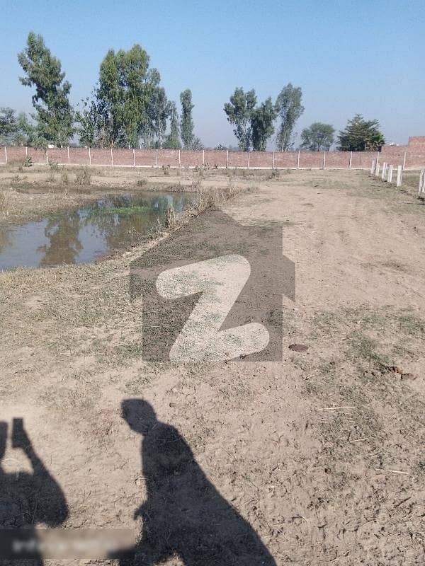 سوءے آصل لاہور میں 16 کنال زرعی زمین 2.5 کروڑ میں برائے فروخت۔