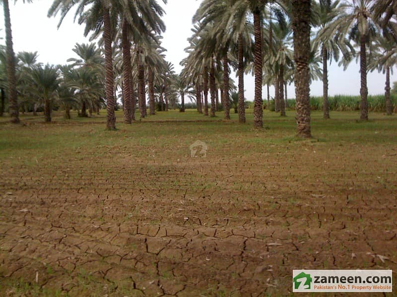 Agricultural Land For Sale In Khairpur